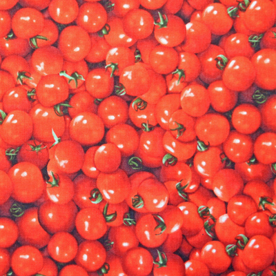 【Foods&Kitchen柄】50x55cm (UFK-060)