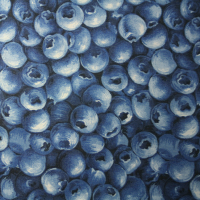 【Foods&Kitchen柄】50×55cm (UFK-075)