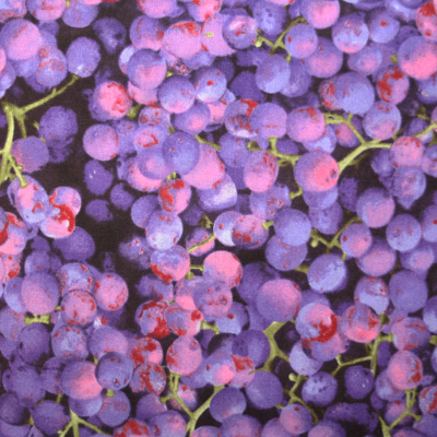 【Foods&Kitchen柄】50×55cm (UFK-093)