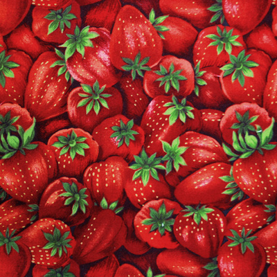 【Foods&Kitchen柄】50x55cm (UFK-098)