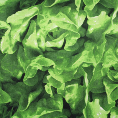 【Foods&Kitchen柄】50x55cm (UFK-118)