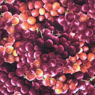 【Foods & Kitchen柄】50x110cm (UFK-148H)