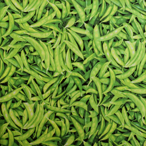 【Foods & Kitchen柄】USAコットン  スナップエンドウ柄（小） (UFK-160)