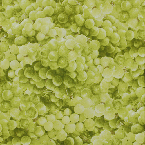 【Foods & Kitchen柄】50x55cm (UFK-182)マスカット柄