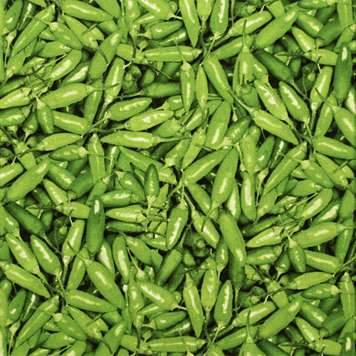 USAコットン【Foods & Kitchen柄】リアルプリント　とうがらし柄(UFK-185)