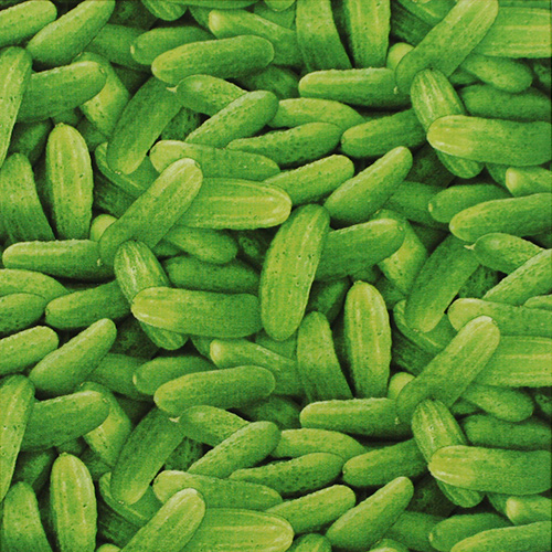 【Foods & Kitchen柄】50x55cm (UFK-195)ピクルス柄