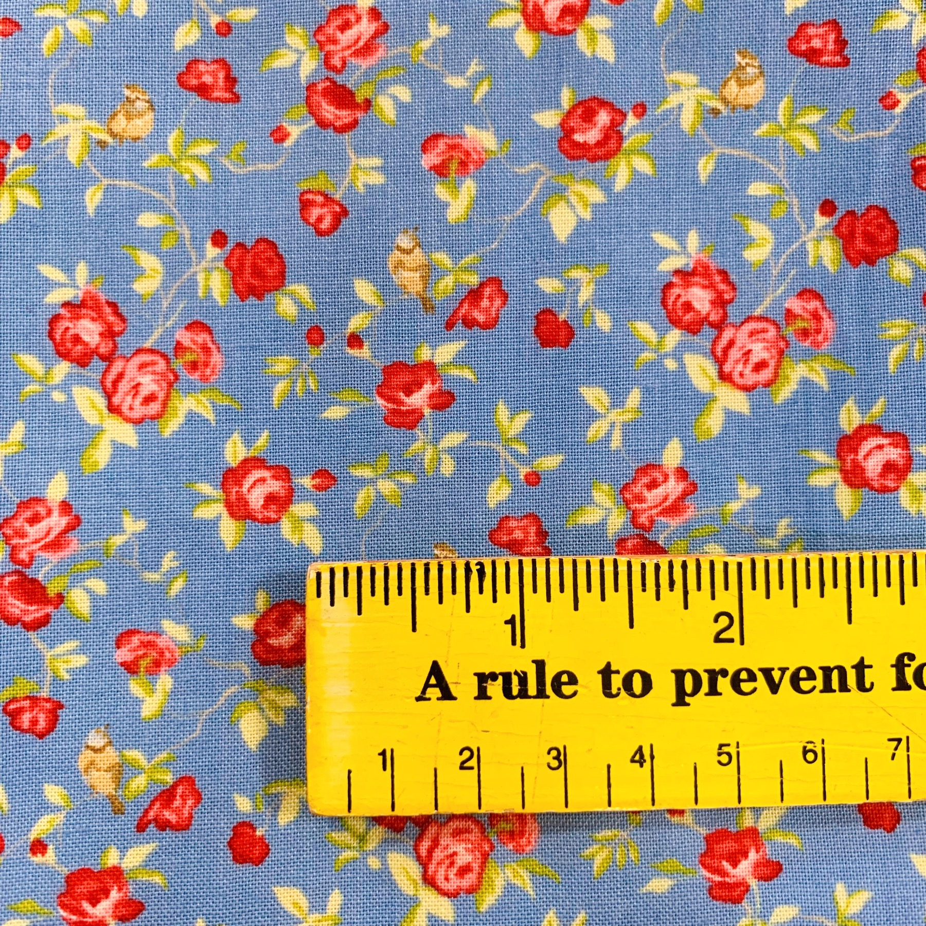 【Windermere シリーズ】USAコットン　ブルー系小花柄 (UOTS-495)