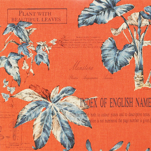 小関鈴子先生デザインプリント 】 希少生地 草花柄 コットンリネン 綿