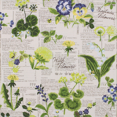 【小関鈴子先生デザインプリント】JKS-192 グレー/ブラック  花/英字柄