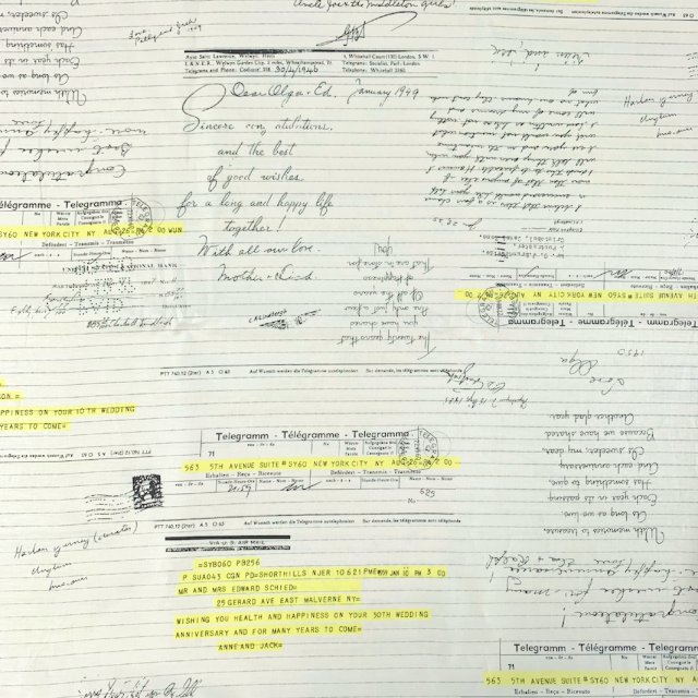 【小関鈴子先生デザインプリント】英字柄  ボーダー  6色展開  ホワイト×レモンイエロー (JKS-435）