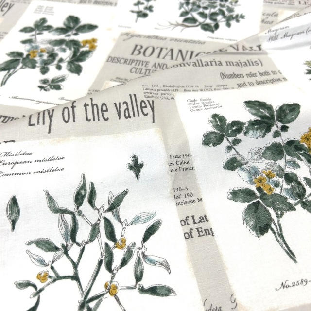 植物図鑑 植物図鑑 | tsuitachi craft&brocante
