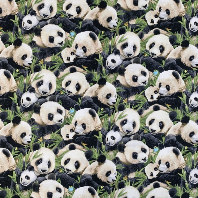 【動物リアルプリント】パンダ柄　白黒系 UAN-073