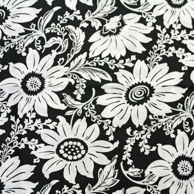 B&W1m(UBW-076M)
