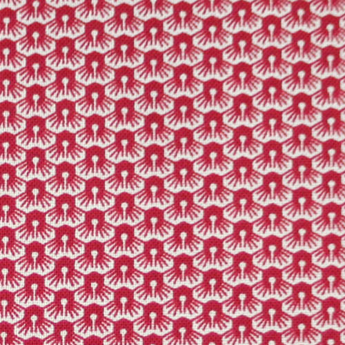 【キャリコ】50x55cm (UCR-127)