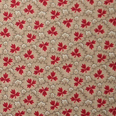 【キャリコ】50x55cm (UCRR-007)