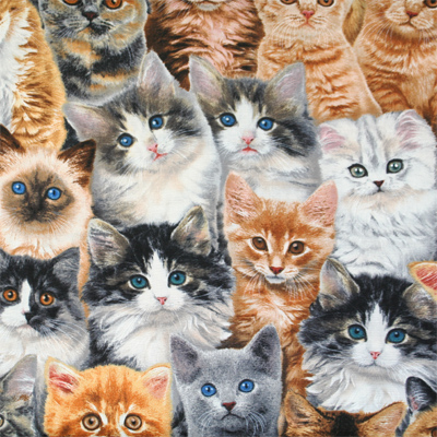 【猫柄プリント】50x110cm (UCT-122H)