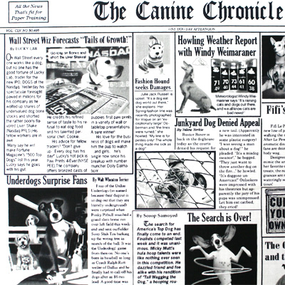 【犬柄プリント】50x55cm (UDG-047)