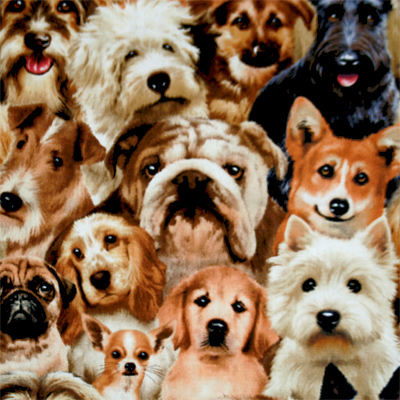 USAコットン USA輸入品【犬柄プリント】リアルプリント (UDG-079)