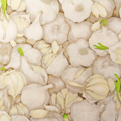 USAコットン【Foods&Kitchen柄】リアルプリント  ニンニク柄 (UFK-100)