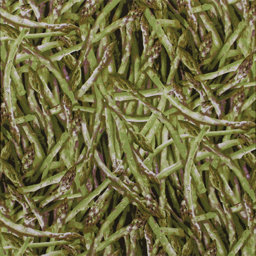 【Foods & Kitchen柄】50x55cm (UFK-184)アスパラガス