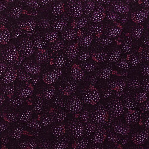 【Foods & Kitchen柄】50x110cm (UFK-189H)ベリー