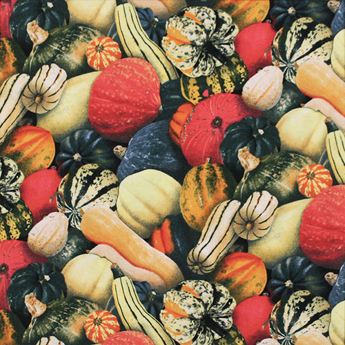 【Foods & Kitchen柄】50x110cm (UFK-193H)パンプキン