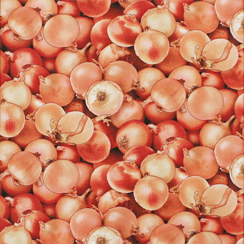 【Foods & Kitchen柄】50x55cm (UFK-198)　たまねぎ柄(小)