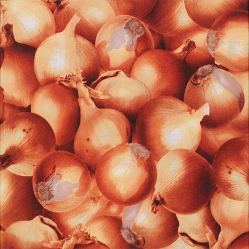 【Foods & Kitchen柄】50x55cm (UFK-199)　たまねぎ柄