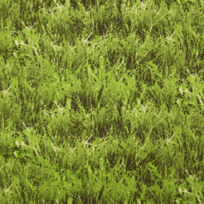 【植物・葉っぱ柄】(UOTS-396)