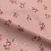 こうの早苗先生