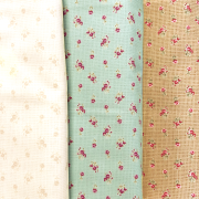 こうの早苗先生