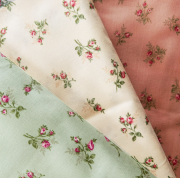 こうの早苗先生