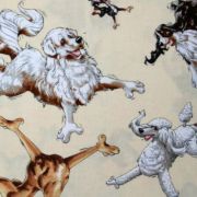 【犬柄プリント】50x55cm (UDG-015)