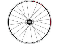 CAMPAGNOLO 2015 NEUTRON ULTRA WO REAR WHEEL（カンパニョーロ ニュートロン ウルトラ クリンチャー リア ホイール）