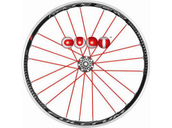 FULCRUM RACING ZERO WO WHEEL RED COLOR CULT BEARING R（フルクラム レーシングゼロ クリンチャー レッドカラー カルトベアリング）