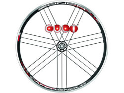 CAMPAGNOLO 2015 ZONDA WO CULT SPECIAL WHEEL R（カンパニョーロ ゾンダ カルトベアリング スペシャルバージョン）