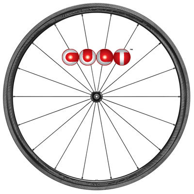 CAMPAGNOLO 2024 BORA WTO 33 2WAY-FIT CULT SPECIAL WHEEL 