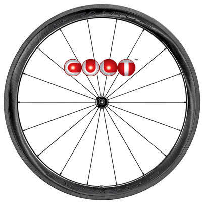 CAMPAGNOLO 2024 BORA WTO 45 2WAY-FIT CULT SPECIAL WHEEL 