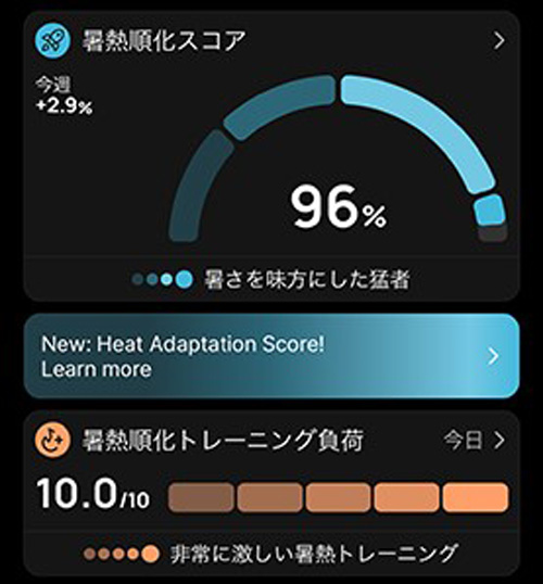 深部温度モニタリングセンサー CORE2 Thermal Sensor コア 2