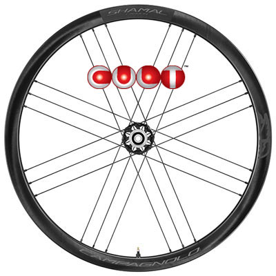 CAMPAGNOLO 2024 SHAMAL CARBON DB DISC BRAKE 2WAY-FIT CULT SPECIAL 