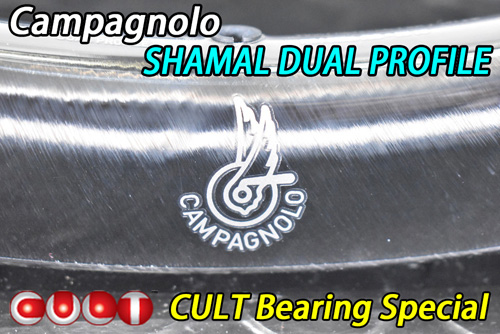 CAMPAGNOLO 2025 SHAMAL DUAL FROFILE DB DISC BRAKE 2WAY-FIT CULT