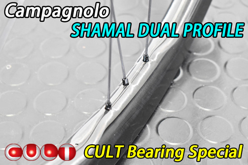 CAMPAGNOLO 2025 SHAMAL DUAL FROFILE DB DISC BRAKE 2WAY-FIT CULT