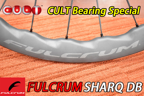 FULCRUM 2024 SHARQ DB 2WAY-FIT CULT BEARING SPECIAL WHEEL
