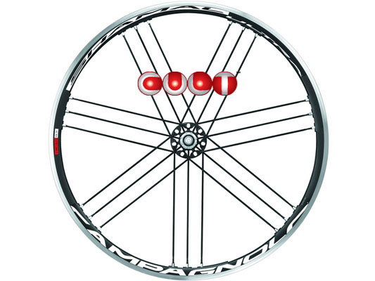CAMPAGNOLO 2015 SHAMAL ULTRA CULT SPECIAL WHEEL R（カンパニョーロ シャマルウルトラ カルトベアリング スペシャルバージョン）