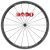 CAMPAGNOLO BORA WTO 33 BORAWTO33 CULT BEARING WHEEL BRIGHT F カンパニョーロ ボーラ 33mm カルトベアリング ホイール ブライトラベル