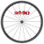 CAMPAGNOLO BORA WTO 33 BORAWTO33 CULT BEARING WHEEL DARK F カンパニョーロ ボーラ 33mm カルトベアリング ホイール ダークラベル