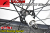 FULCRUM RACING ZERO RACINGZERO C17 2WAY-FIT 2WF CULT BEARING フルクラム レーシングゼロ チューブレス カルトベアリング 11