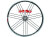 CAMPAGNOLO 2015 SHAMAL ULTRA CULT SPECIAL WHEEL DARK R（カンパニョーロ シャマルウルトラ カルトベアリング）