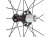 FULCRUM SPEED BRIGHT LAVEL WO WHEEL　REAR HUB （フルクラム スピード ブライトラベル クリンチャー ホイール リア ハブ）