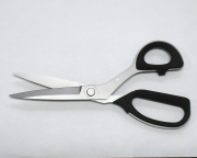 71HX9CELErL._UF350,350_QL80_.jpg